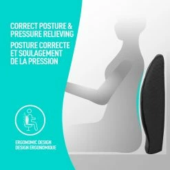 AutoTrends 2-in-1 Memory Foam Lumbar Back & Seat Cushion -AutoTrends Shop autotrends 2 in 1 lumbar seat cushion 0ff28f71 2660 4e51 bf21 b90062847239